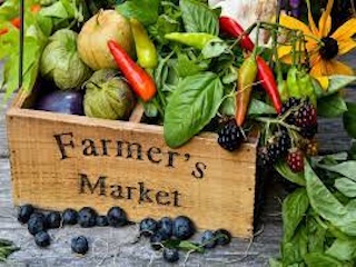 بازار کشاورزان