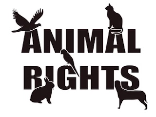 حقوق حیوانات