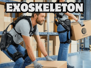 اسکلت بیرونی