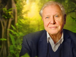 دیوید اتنبرو