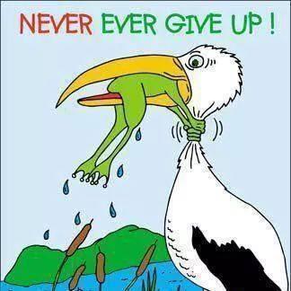 : Cartoons: Never give up